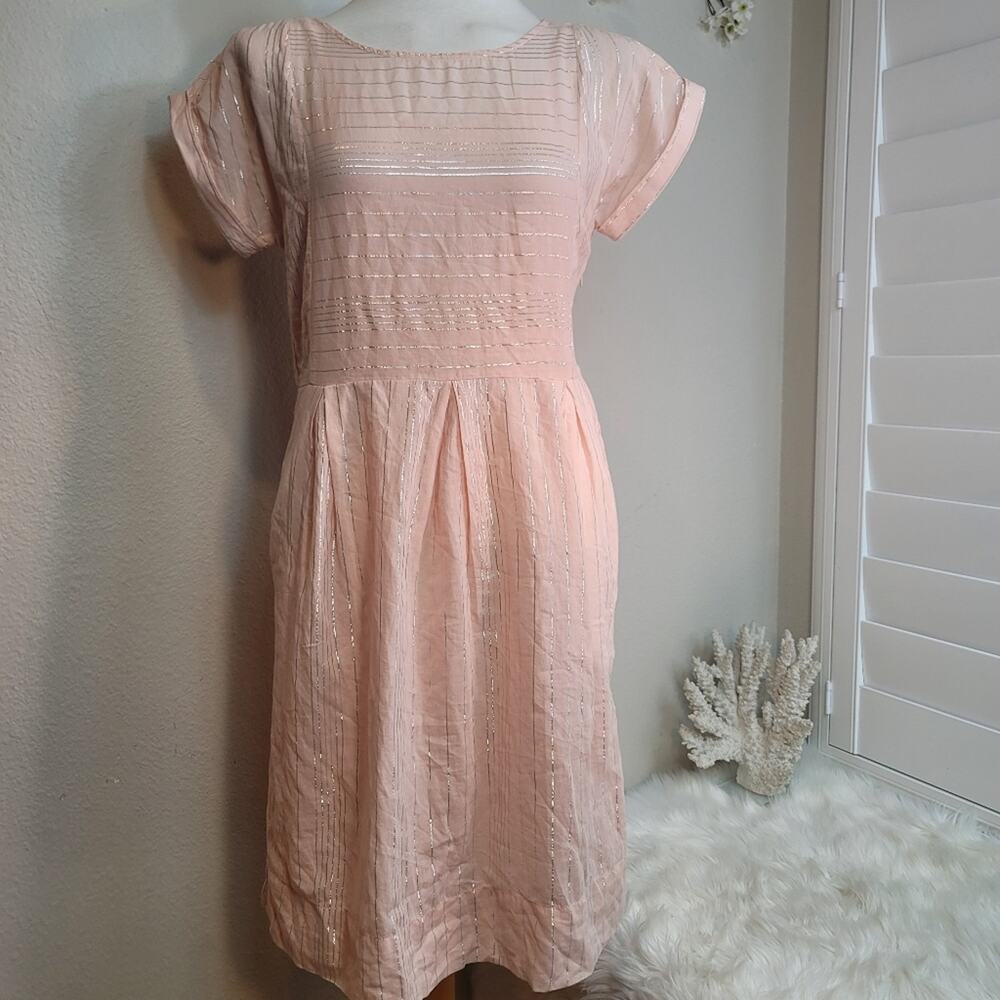 NWT PEYTON & PARKER Pink Silver Stripe English Country Garden Midi Dress Sz: S - Picture 3 of 16
